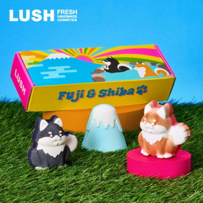 楽天市場】lush（日用品雑貨・文房具・手芸）の通販