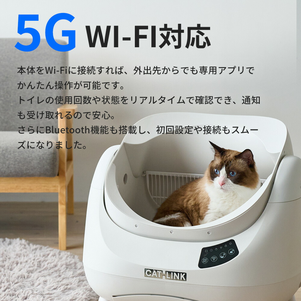 楽天市場】【予約販売 3月中～下旬入荷予定】 最短即日発送 自動猫