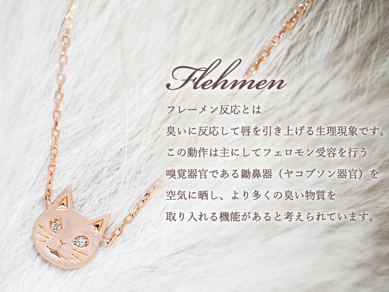 楽天市場】＼2,000円OFFクーポン3/1〜／ 猫 ダイヤモンド 0.01ct