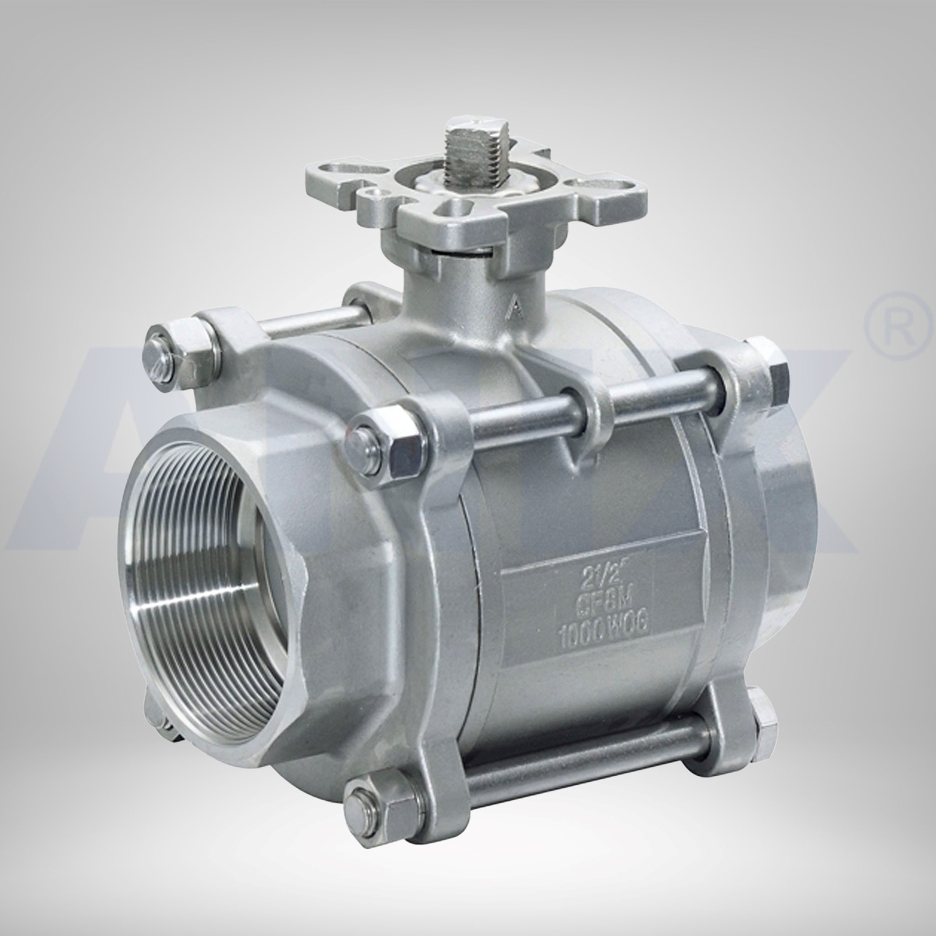 ANIX Valve USA - Stainless Steel & Carbon/Cast Steel Valve