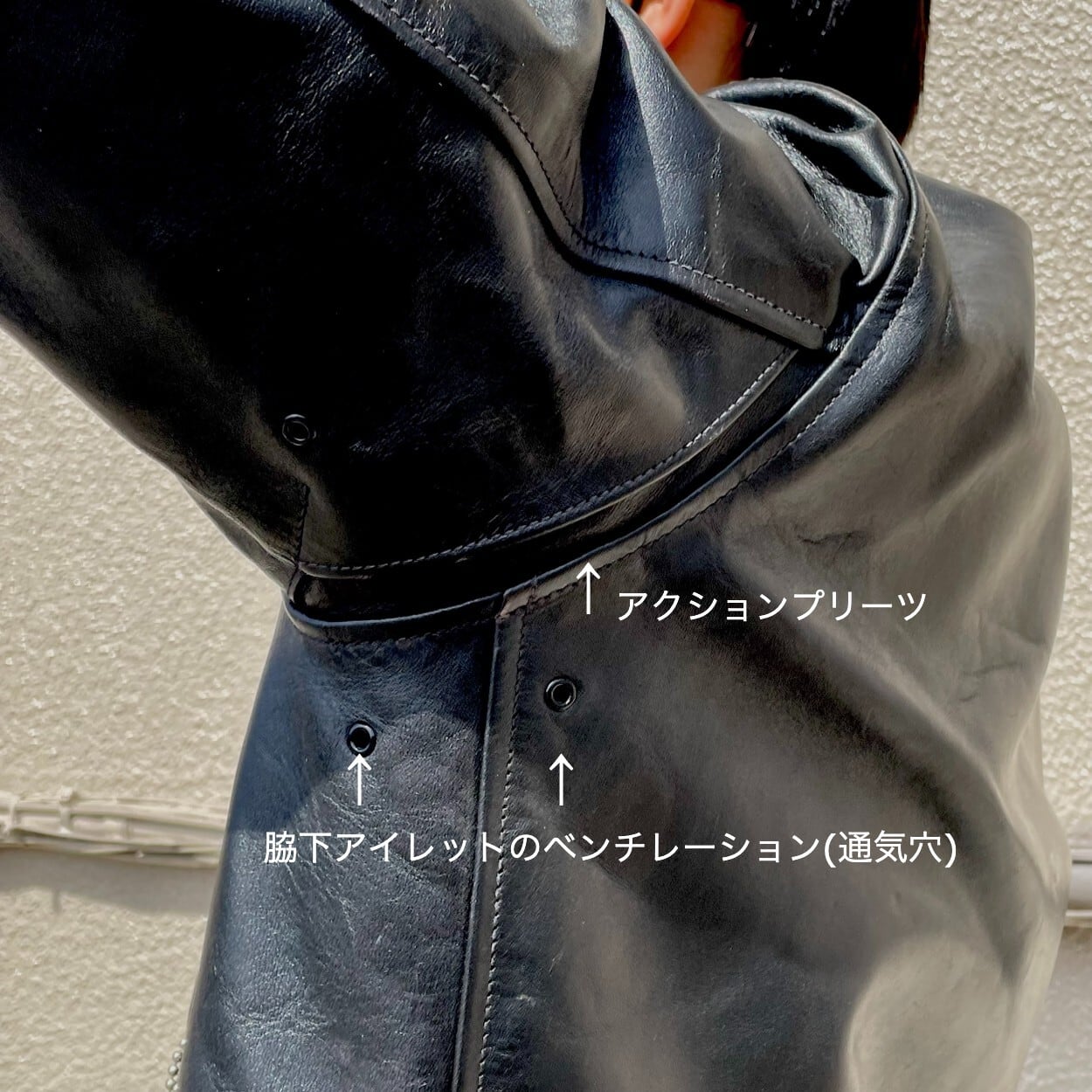 FREEWHEELERS / フリーホイーラーズ / 