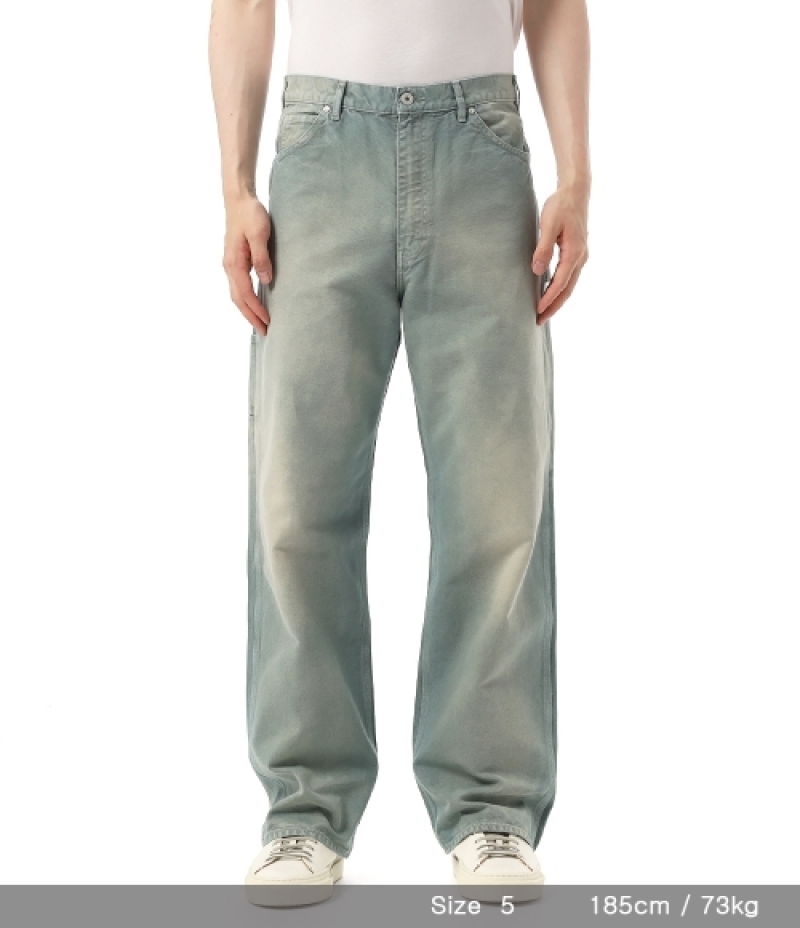 AURALEE｜JEANS (ORGANIC COTTON DUCK PANTS (A25SP02CD ASH (AURALEE