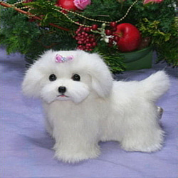 マルチーズ ぬいぐるみ のおすすめ人気通販 検索結果｜Creema(クリーマ