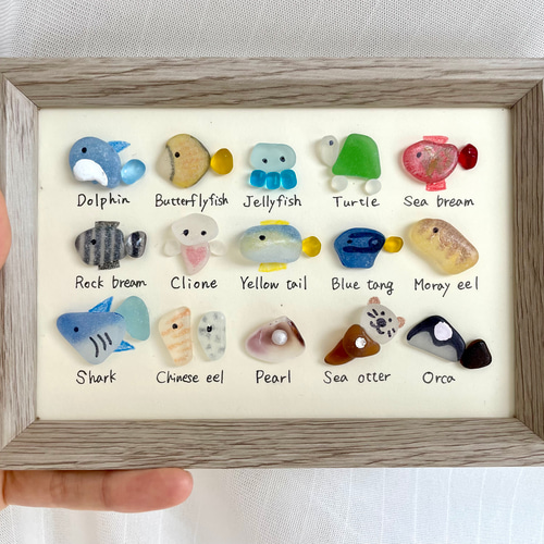 シーグラスアート☆No159 図鑑 ギフト プレゼント 水族館 ヒーリング
