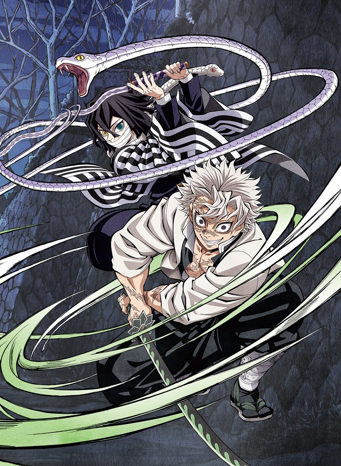 鬼滅の刃＞柱稽古編Blu-ray&DVD全4巻で発売 不死川＆伊黒の1巻イラスト
