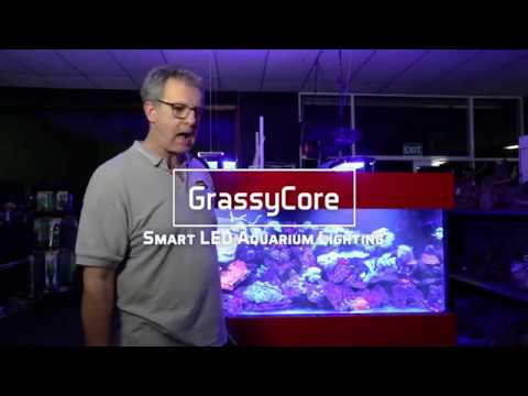 New Grassy Core Australian Lights - YouTube
