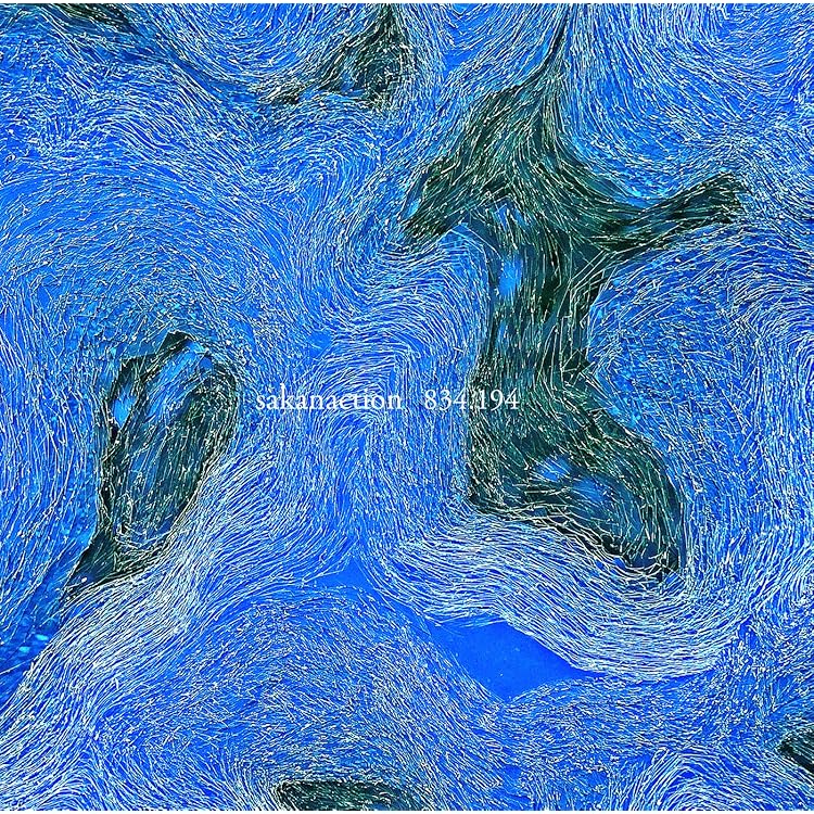 Amazon.co.jp: DocumentaLy（初回限定盤A）CD+DVD+豪華ブックレット