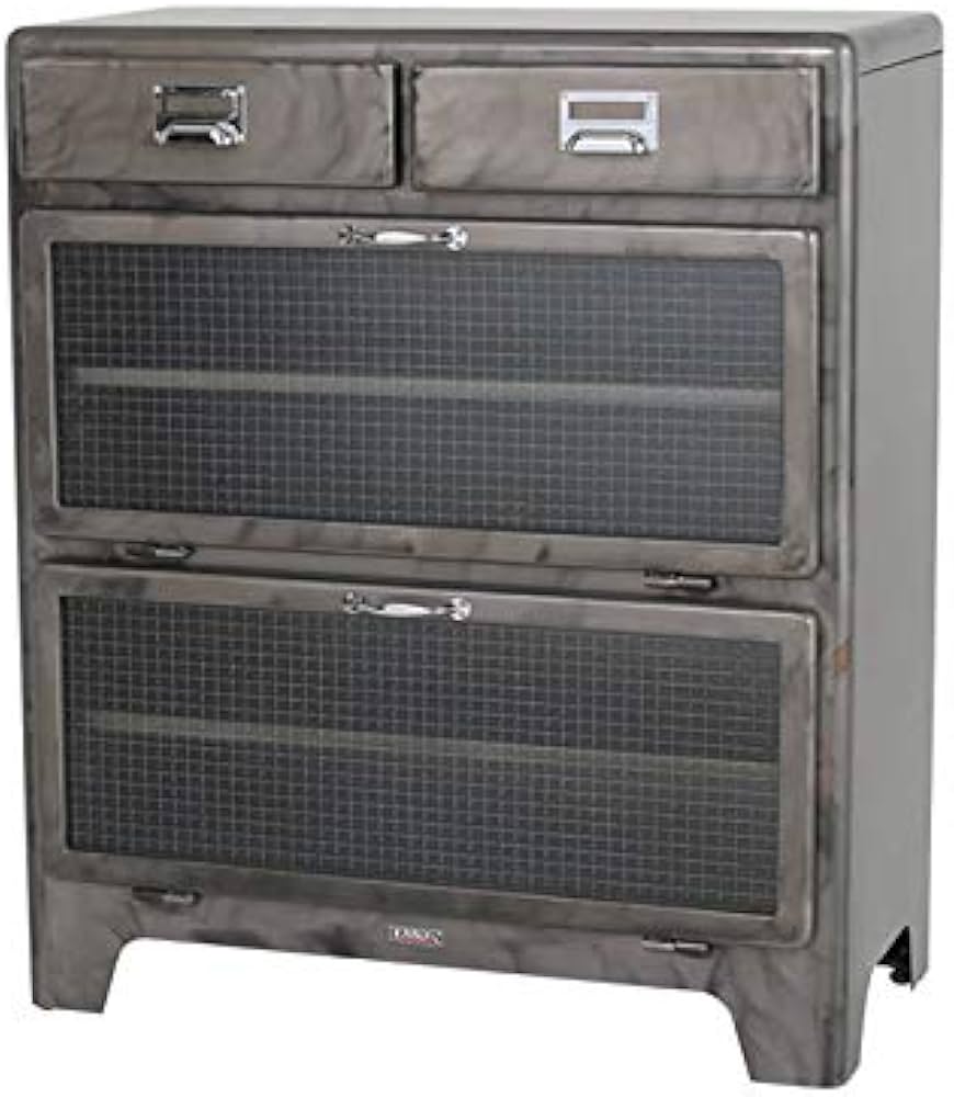 Amazon｜ダルトン(Dulton) 収納棚 2 レイヤー キャビネット ロウカラー