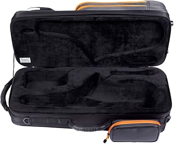 Amazon | BAM! バム Bam アルトサクソフォン用ケース 【PEAK】 カラー