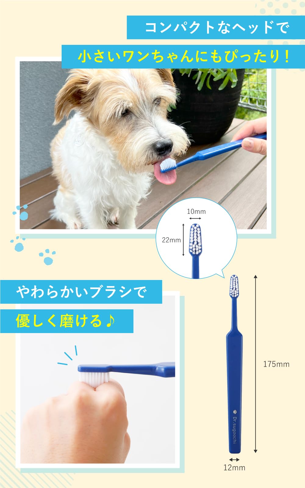 Amazon.co.jp: 【ドクタースゴオチ】ドクターデンタルワン 犬 歯ブラシ