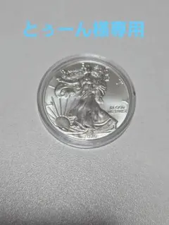 2026年最新】アメリカ イーグル銀貨の人気アイテム - メルカリ
