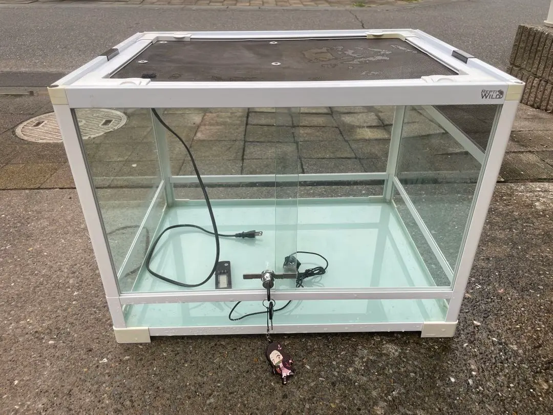 2026年最新】パンテオン6045の人気アイテム - メルカリ