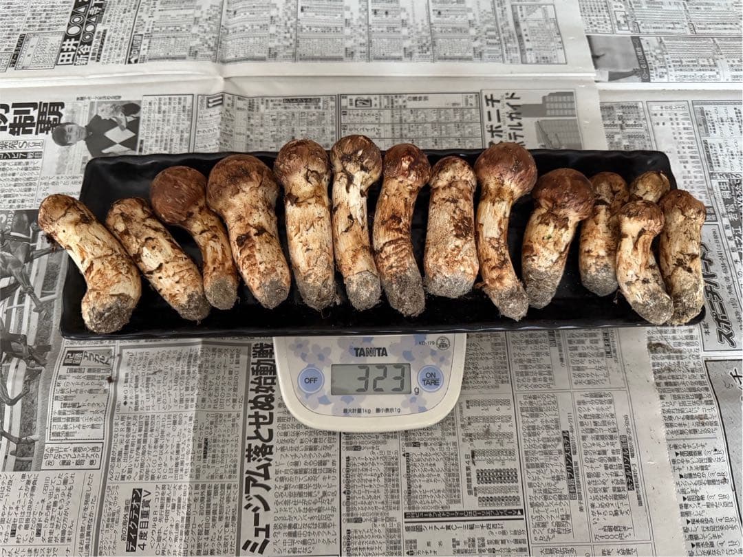 松茸　北海道　300g ⑤ 国産 松茸 北海道 300g ⑤ 国産 国産まつたけ 300g | すべての商品 | ますちー