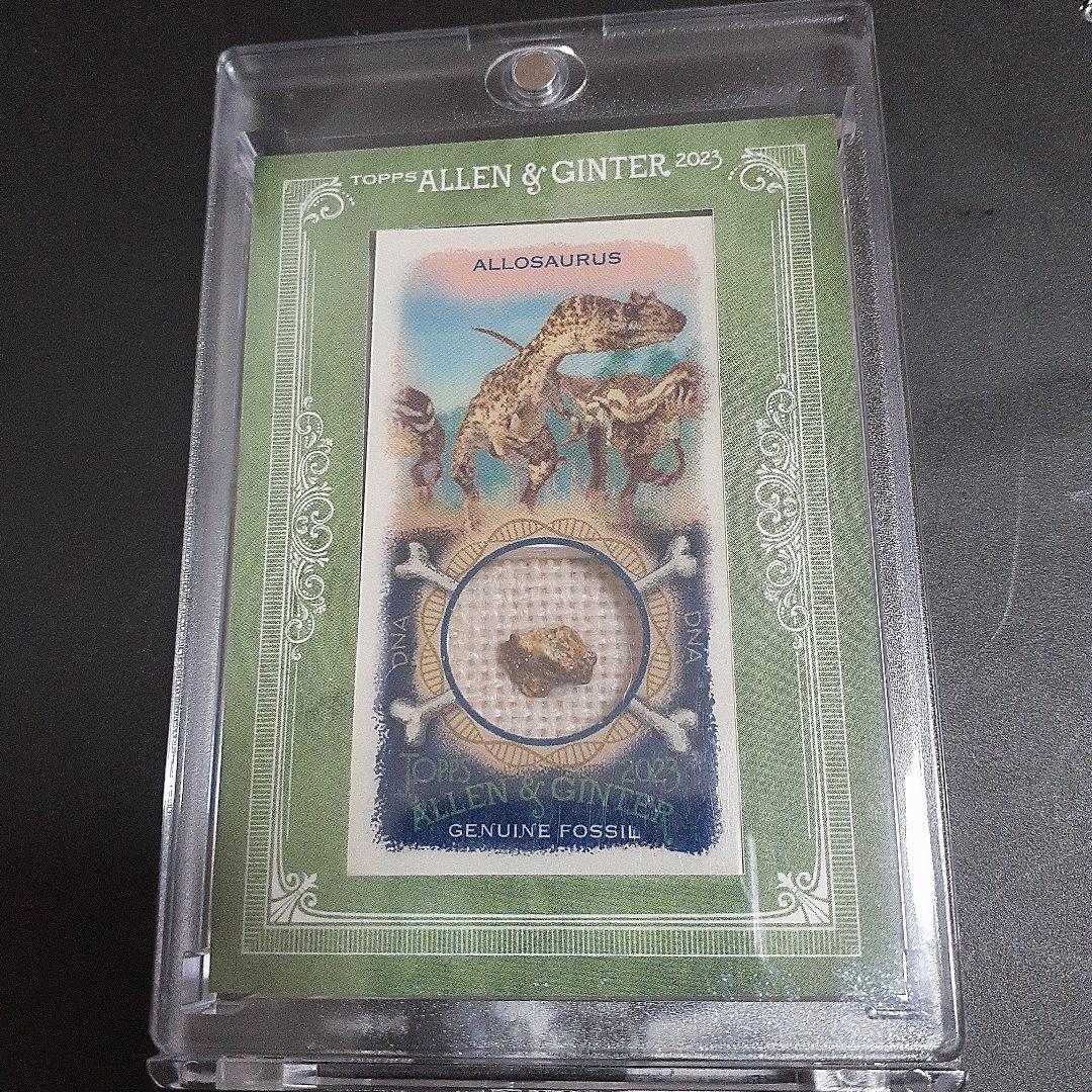 あ*ん様 allen & ginter dna relic 化石 allosau allen & ginter dna relic 化石 allosaurus allen & ginter dna relic