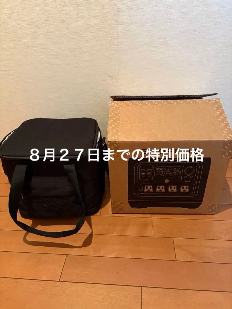 エコフローリバー2プロ　純正ケース付き 楽天市場】ecoflow river 2 proの通販