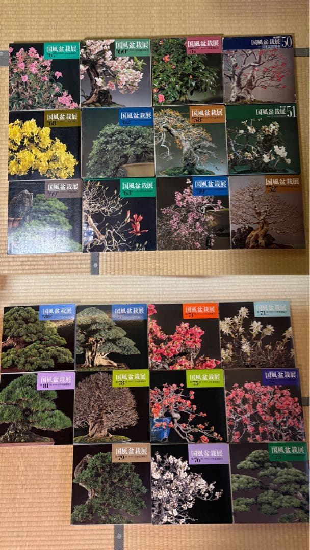 国風盆栽展　写真から16〜17巻選んでください 日本盆栽協会が第100回国風盆栽展を開催、東京都美術館で前期後期の