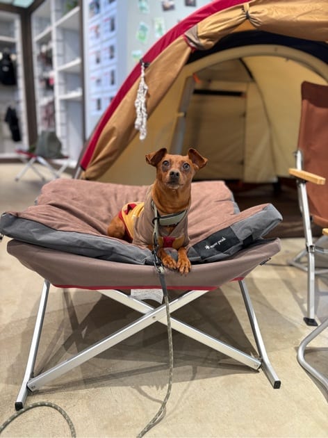 ドッグクッション| スノーピーク(Snow Peak)